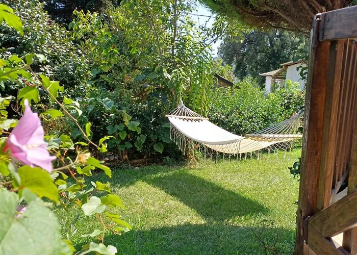Efi\'S Guest House